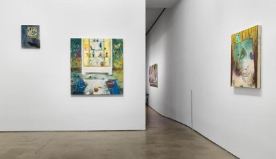 Angelina Gualdoni — Installation view of 'The Physic Garden'