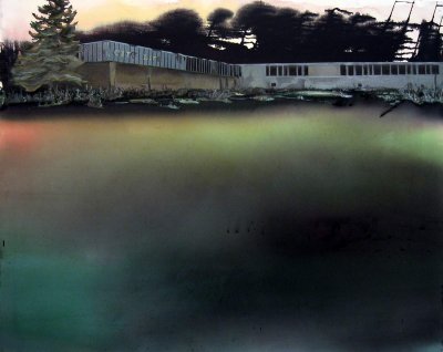 Angelina Gualdoni, Transference in Aurora, Illinois, Oil and Acrylic on Canvas, 48" x 60", 2004